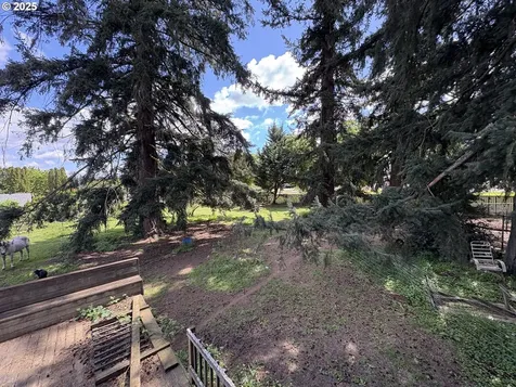19813 NE 8th Street Camas WA 98607