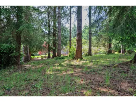 83485 Clear Lake Road Florence OR 97439