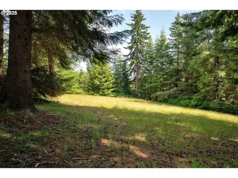 83485 Clear Lake Road Florence OR 97439