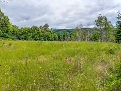 235 Bayswater Road Amboy WA 98601