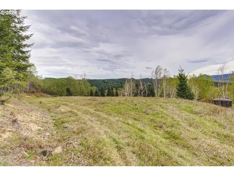 235 Bayswater Road Amboy WA 98601