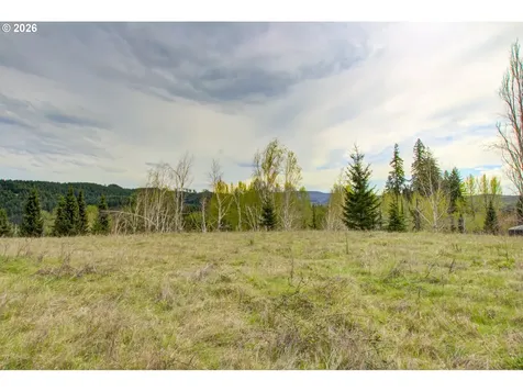 235 Bayswater Road Amboy WA 98601