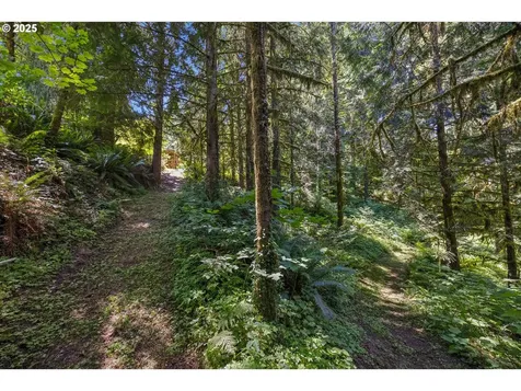 5240 NW Cornell Road Portland OR 97210