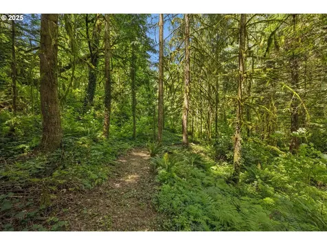 5240 NW Cornell Road Portland OR 97210