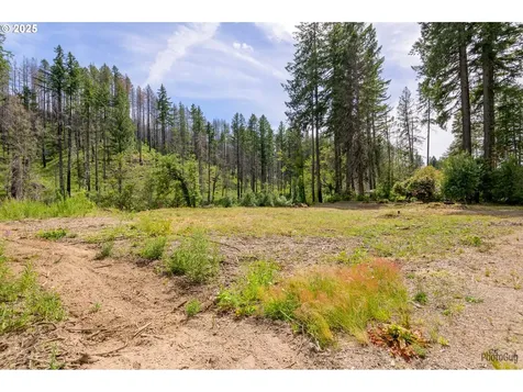 47664 Mckenzie Highway Vida OR 97488