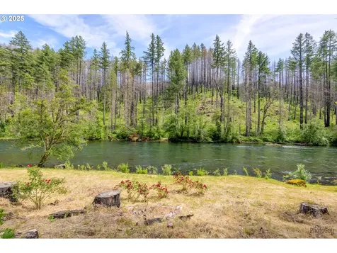 47664 Mckenzie Highway Vida OR 97488