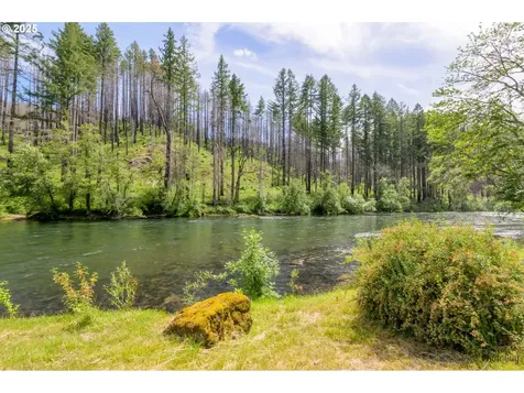 47664 Mckenzie Highway Vida OR 97488