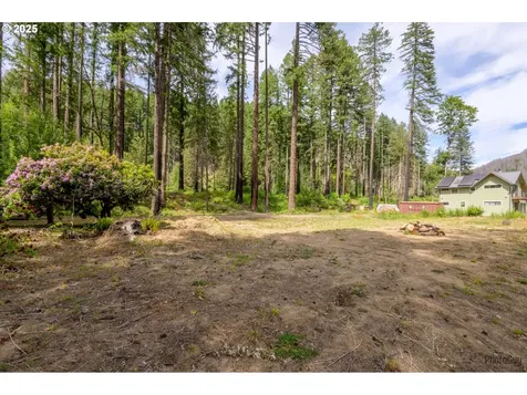 47664 Mckenzie Highway Vida OR 97488