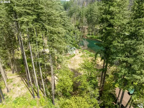 47664 Mckenzie Highway Vida OR 97488