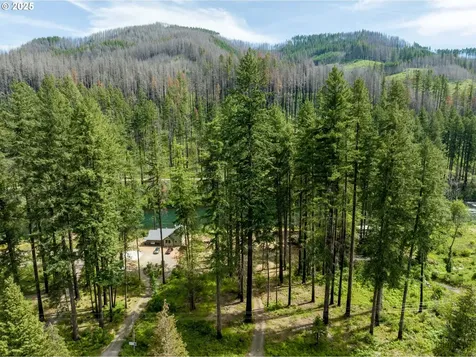47664 Mckenzie Highway Vida OR 97488