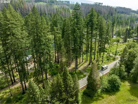 47664 Mckenzie Highway Vida OR 97488