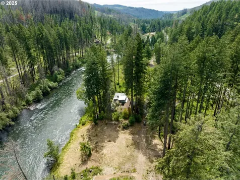 47664 Mckenzie Highway Vida OR 97488