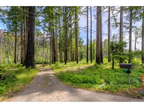 47664 Mckenzie Highway Vida OR 97488