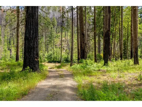 47664 Mckenzie Highway Vida OR 97488