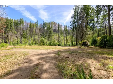 47664 Mckenzie Highway Vida OR 97488