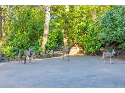 94442 Carlson Heights Lane North Bend OR 97459