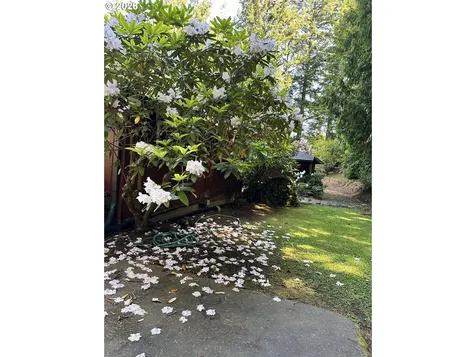 94442 Carlson Heights Lane North Bend OR 97459