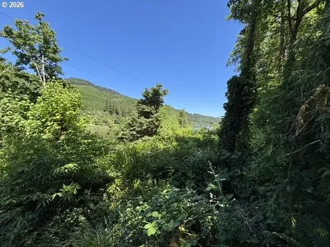 Sweet Creek Road Mapleton OR 97453