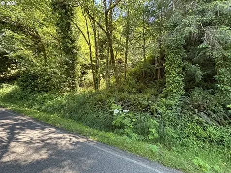 Sweet Creek Road Mapleton OR 97453