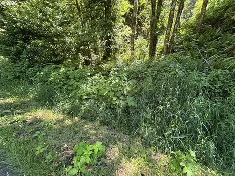 Sweet Creek Road Mapleton OR 97453