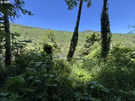 Sweet Creek Road Mapleton OR 97453