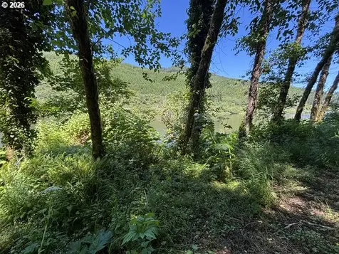 Sweet Creek Road Mapleton OR 97453