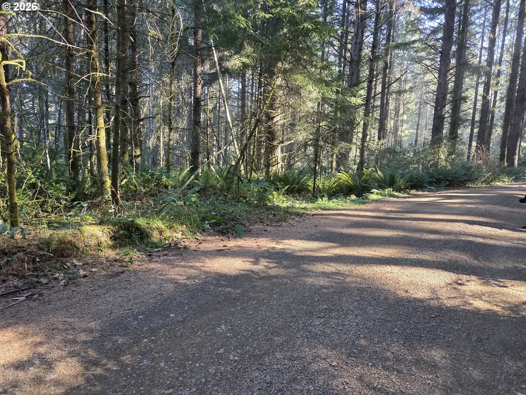 Greggs Creek Road Gold Beach OR 97444