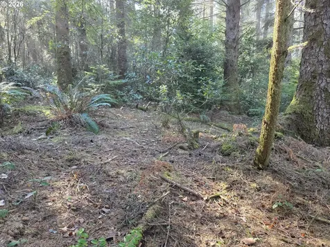 Greggs Creek Road Gold Beach OR 97444
