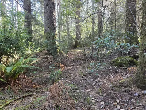 Greggs Creek Road Gold Beach OR 97444