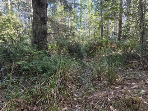Greggs Creek Road Gold Beach OR 97444