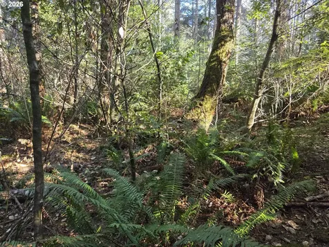 Greggs Creek Road Gold Beach OR 97444