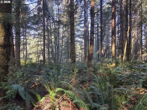 Greggs Creek Road Gold Beach OR 97444