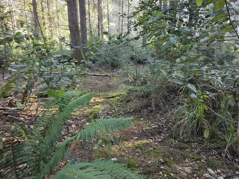 Greggs Creek Road Gold Beach OR 97444