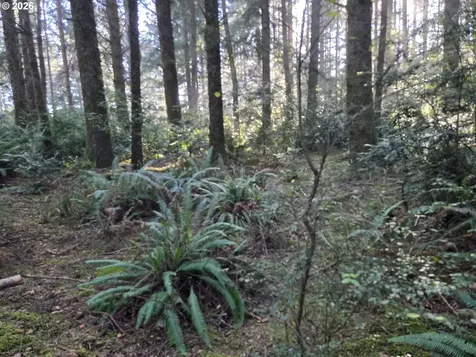 Greggs Creek Road Gold Beach OR 97444