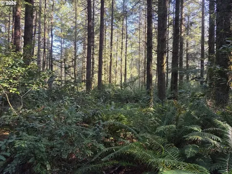 Greggs Creek Road Gold Beach OR 97444