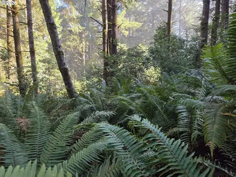 Greggs Creek Road Gold Beach OR 97444