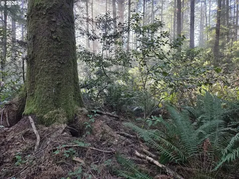 Greggs Creek Road Gold Beach OR 97444