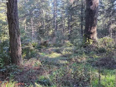 Greggs Creek Road Gold Beach OR 97444