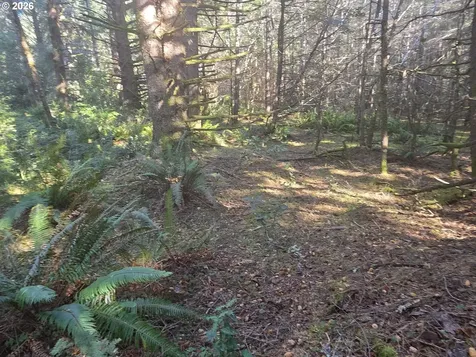 Greggs Creek Road Gold Beach OR 97444