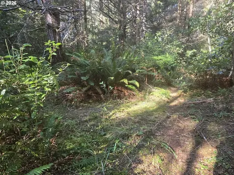 Greggs Creek Road Gold Beach OR 97444