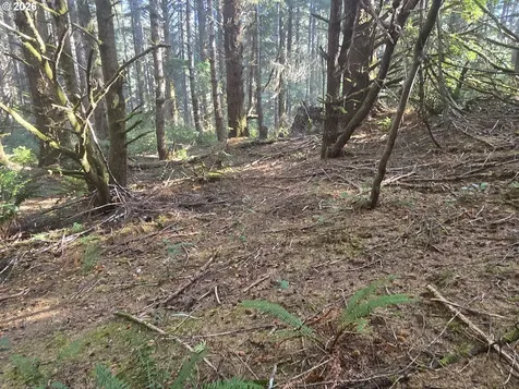 Greggs Creek Road Gold Beach OR 97444