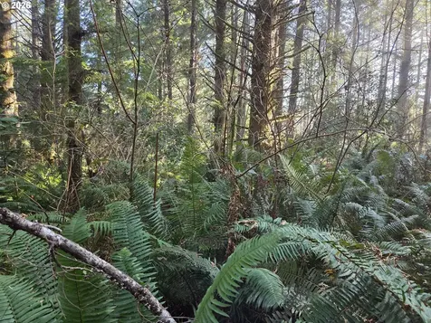 Greggs Creek Road Gold Beach OR 97444