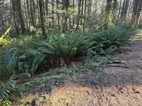 Greggs Creek Road Gold Beach OR 97444