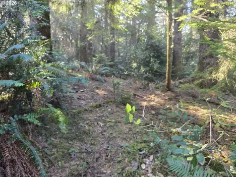 Greggs Creek Road Gold Beach OR 97444