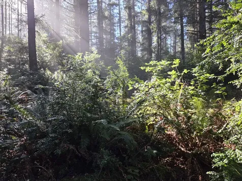 Greggs Creek Road Gold Beach OR 97444