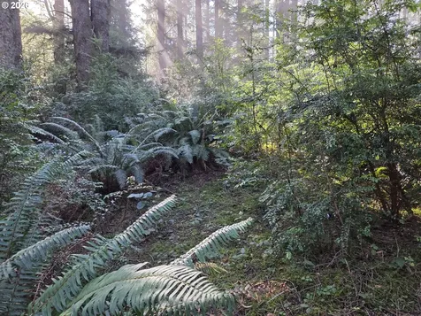 Greggs Creek Road Gold Beach OR 97444