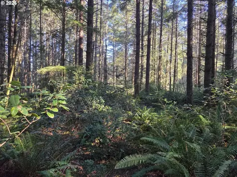 Greggs Creek Road Gold Beach OR 97444