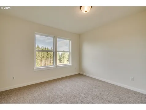 3900 NE 425th Street Woodland WA 98674