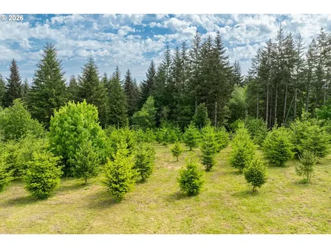 3900 NE 425th Street Woodland WA 98674