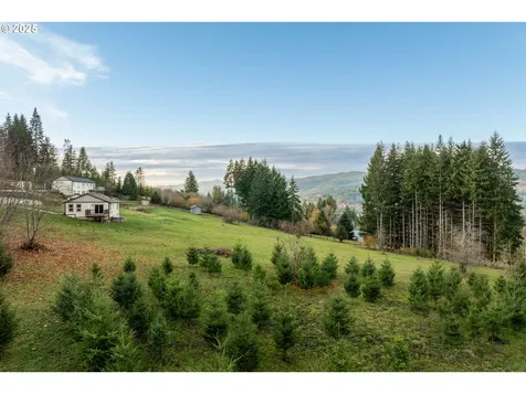 3900 NE 425th Street Woodland WA 98674
